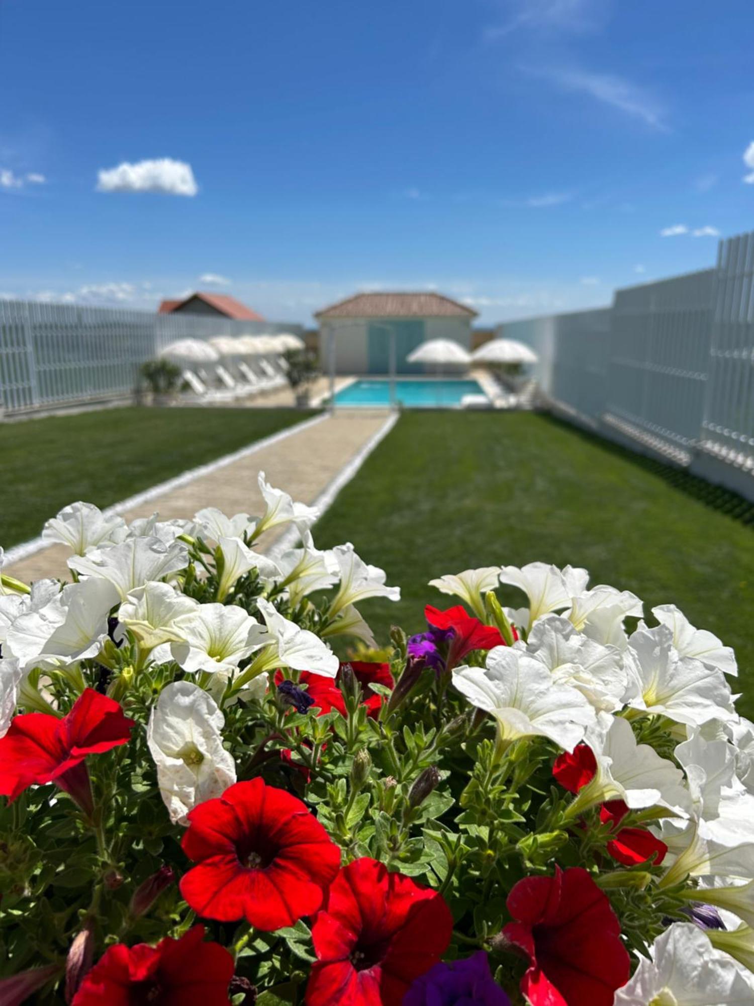 Alma Rezidence Bed and Breakfast Turda Buitenkant foto